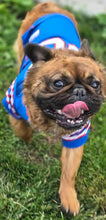 Load image into Gallery viewer, Samsquanch - Red Fawn Fluffy French Bulldog, 4yo Male